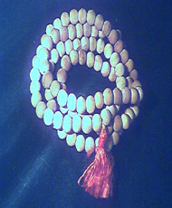 rosaile